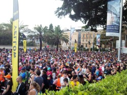 Sydney Half Marathon